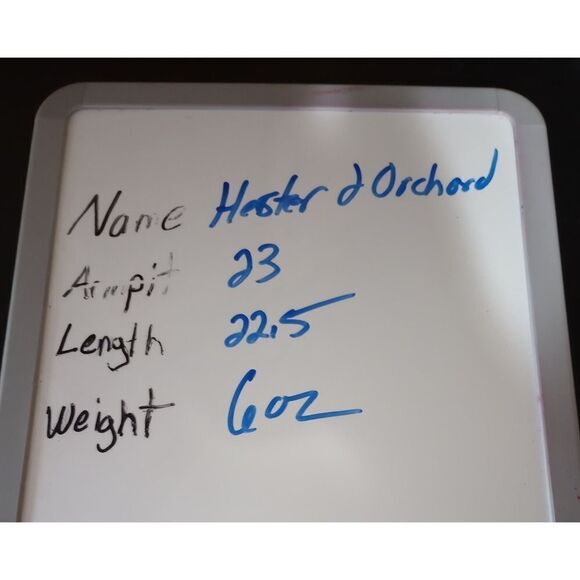 Hester and Orchard Blouse Ladies Extra Large Anchor - Picture 7 of 7